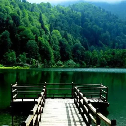 Artvin Borçka Karagöl