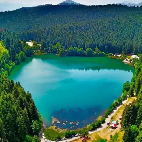 Artvin Karagöl: Doğanın Kalbinde Efsanevi Bir Göl