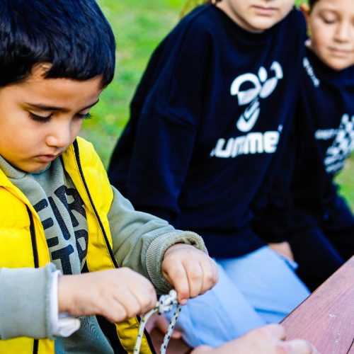 İskandinav Eğitim Felsefesinden