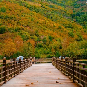 Ayvacık Doğa Kamplarımız