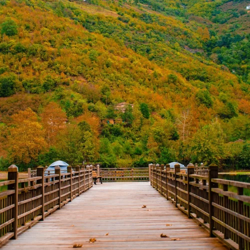 Ayvacık Doğa Kamplarımız