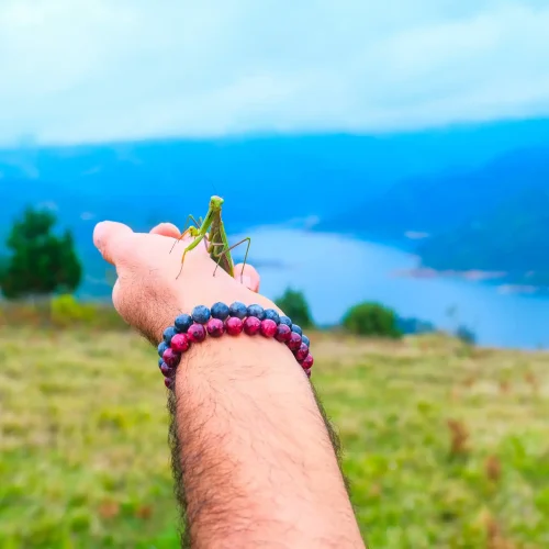 Sınıf Duvarlarının Ötesinde Öğrenme: Doğanın Akademik Başarıya Kanıtlanmış Katkıları