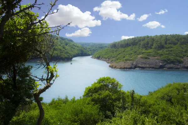 Sinop Kampı 28-29 Haziran